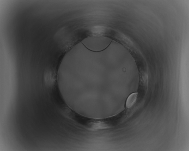 X0000101090507200806261454