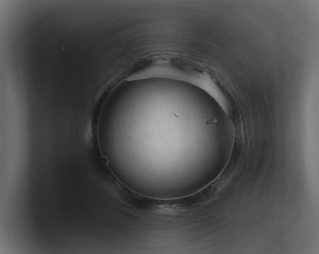 X0000101090508200806261454