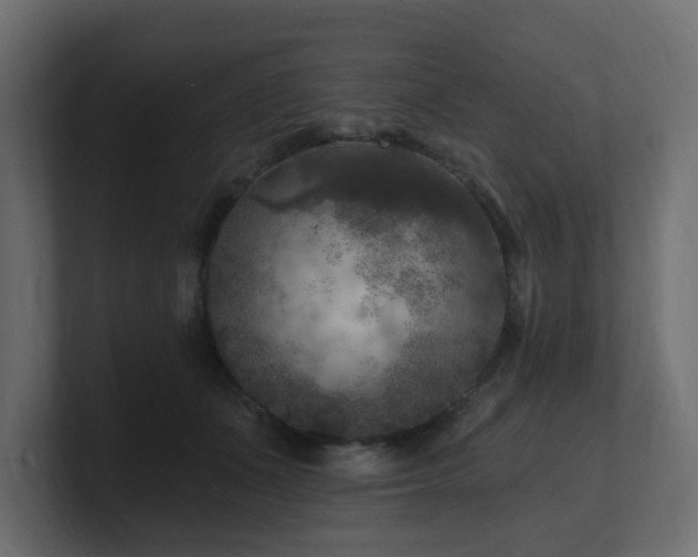 X0000101090511200806261454