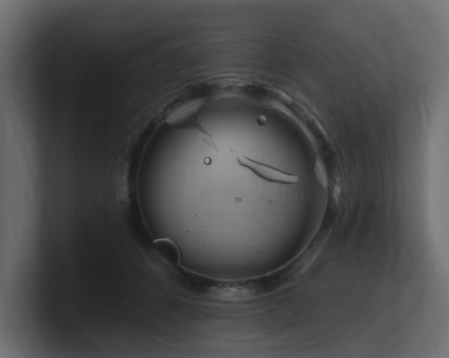 X0000101090512200806261454