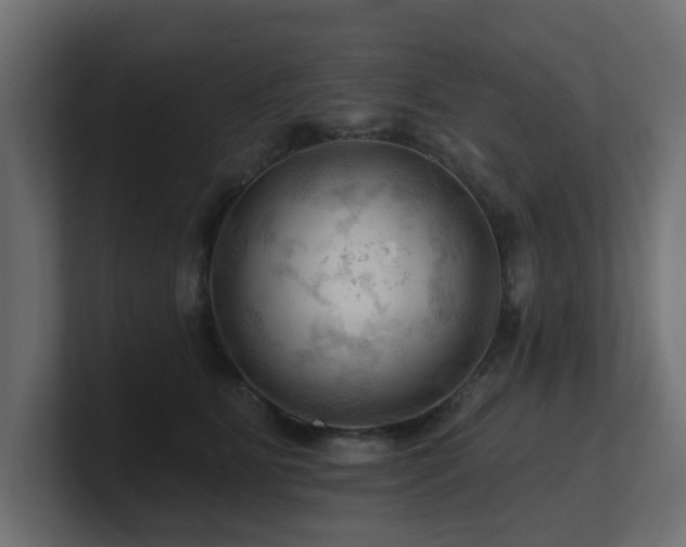 X0000101090515200806261454