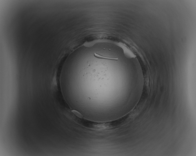 X0000101090516200806261454