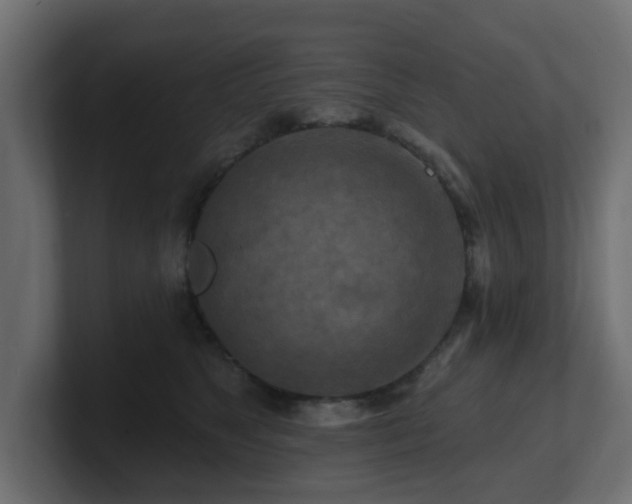 X0000101090517200806261454