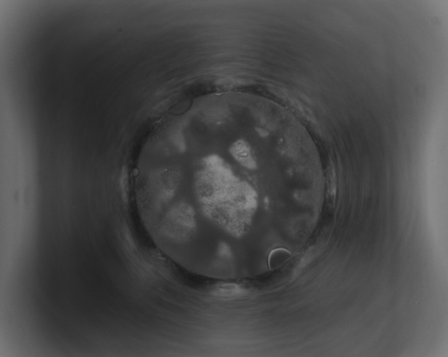 X0000101090519200806261454