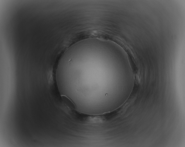 X0000101090520200806261454