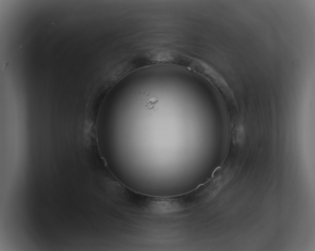 X0000101090521200806261454