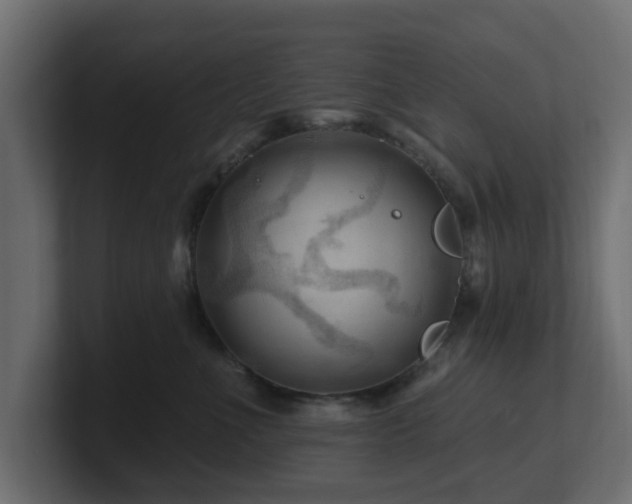 X0000101090523200806261454