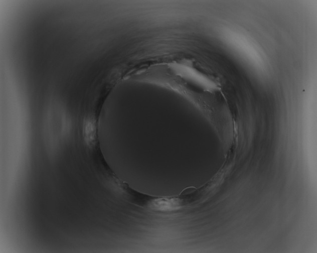 X0000101090526200806261454