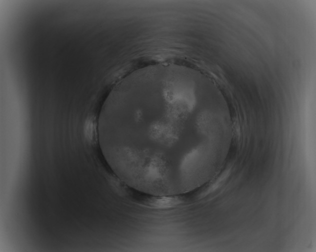 X0000101090527200806261454