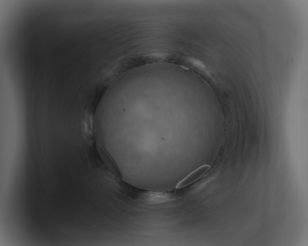 X0000101090528200806261454