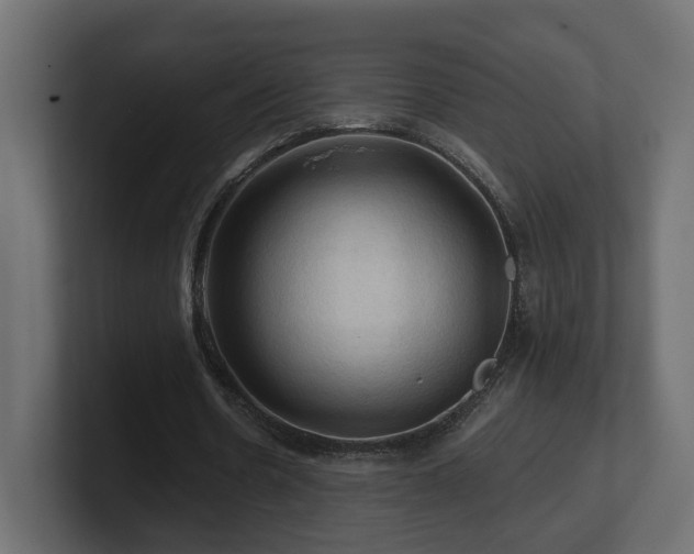 X0000101090530200806261453