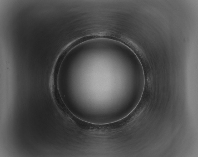 X0000101090532200806261453