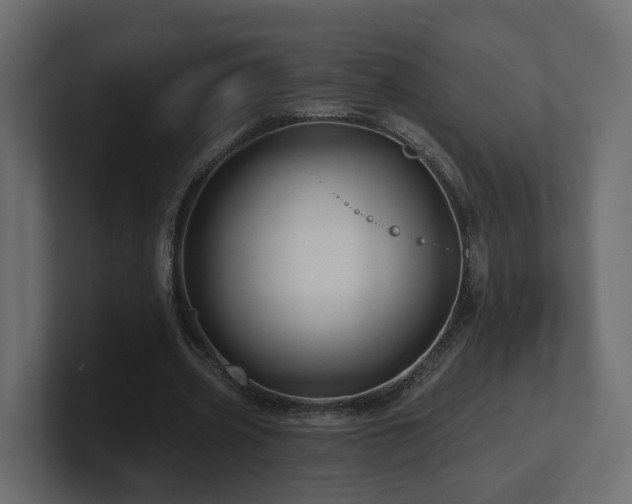 X0000101090533200806261453