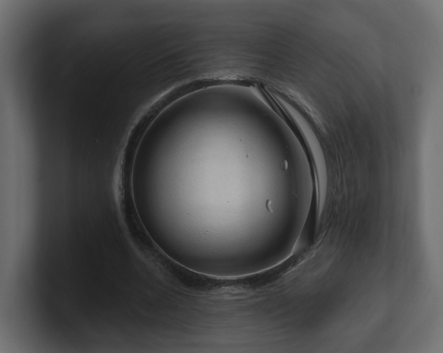 X0000101090536200806261453