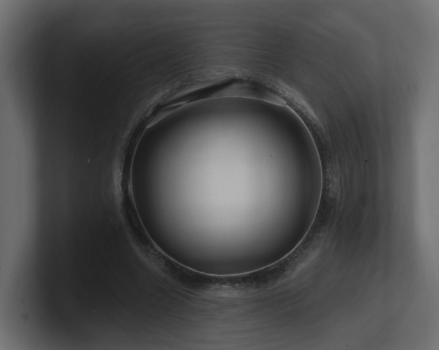 X0000101090538200806261453