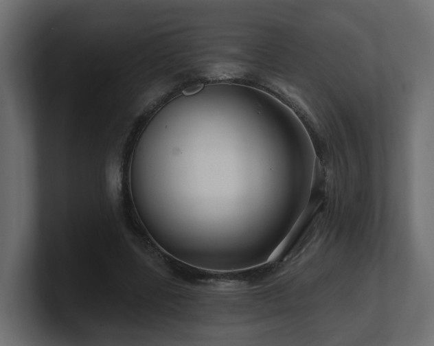 X0000101090539200806261453