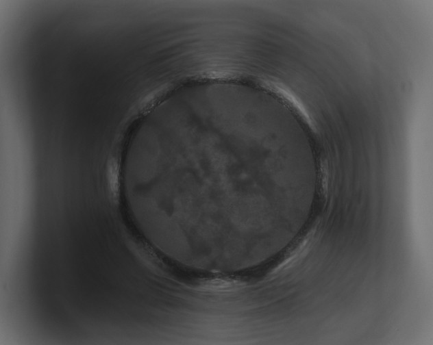 X0000101090542200806261453