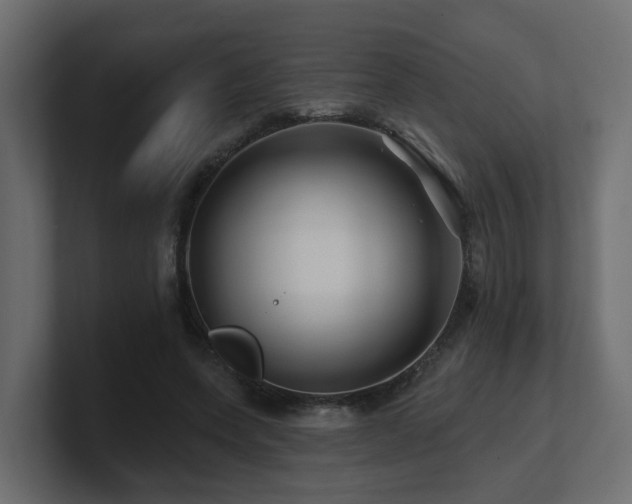 X0000101090543200806261453