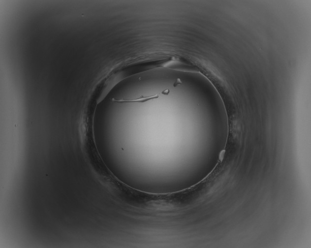 X0000101090544200806261453