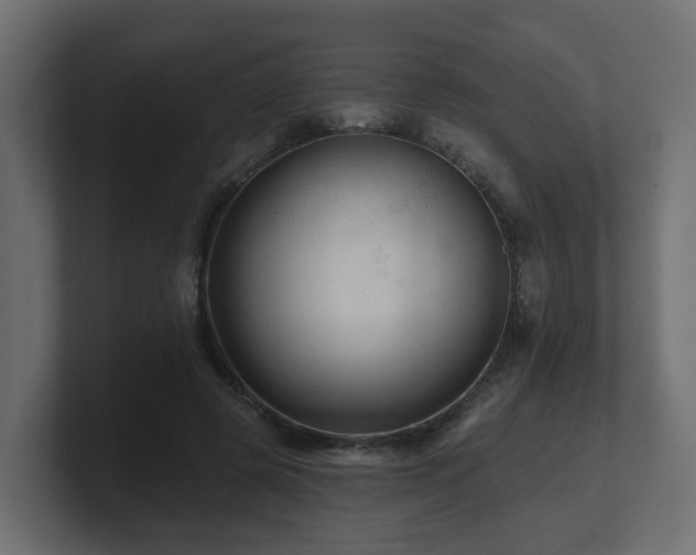 X0000101090545200806261453