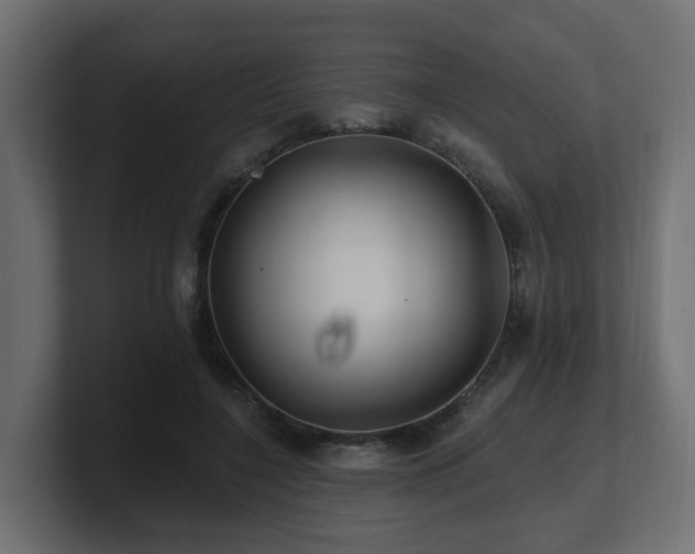 X0000101090548200806261453