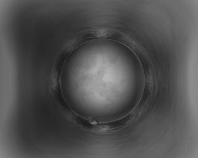 X0000101090554200806261454