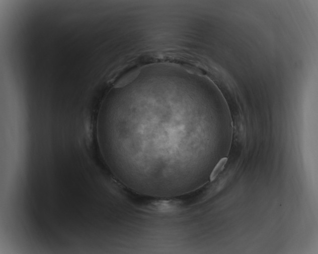 X0000101090558200806261454