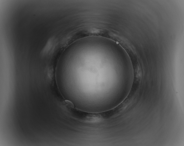 X0000101090559200806261454