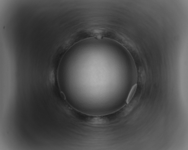 X0000101090562200806261454