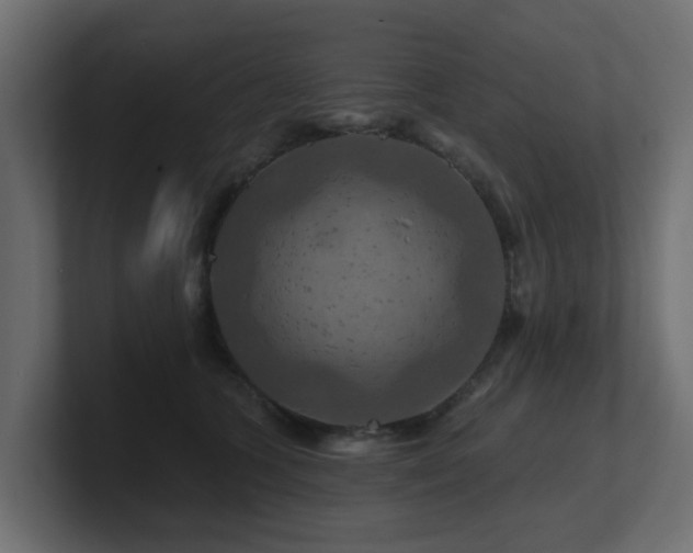 X0000101090563200806261454