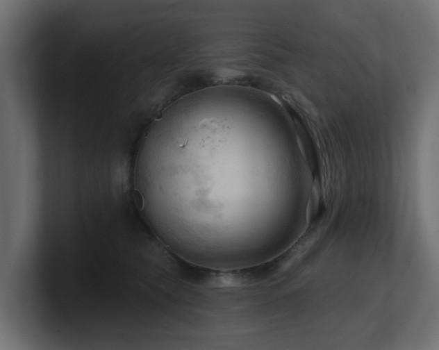 X0000101090565200806261454