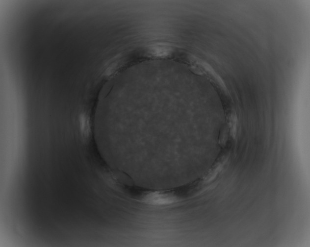 X0000101090568200806261454