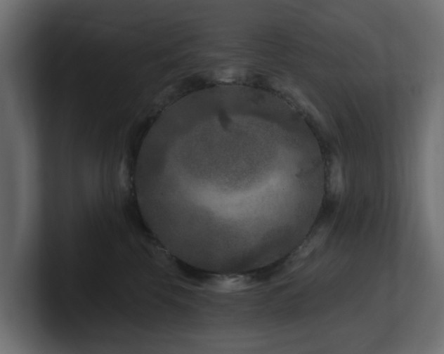 X0000101090569200806261454