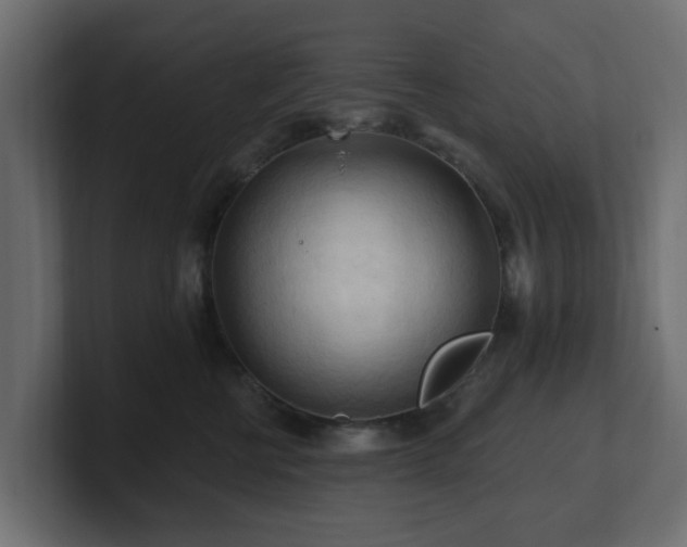 X0000101090570200806261454