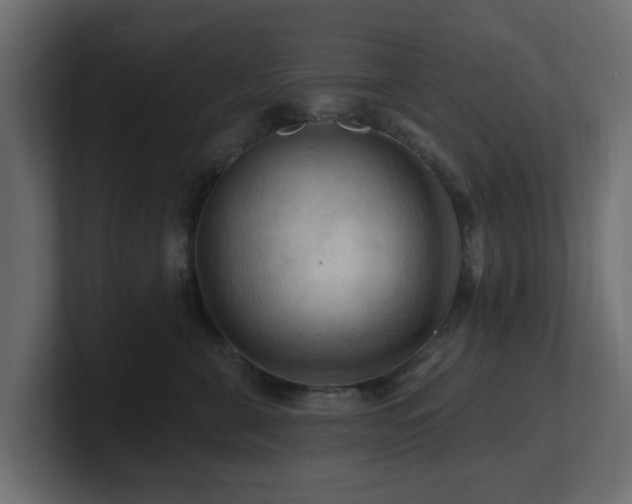 X0000101090571200806261454