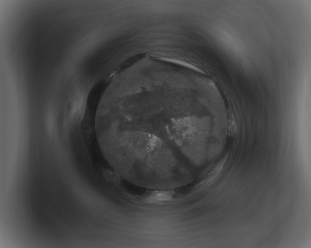 X0000101090573200806261454