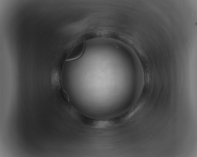 X0000101090575200806261454