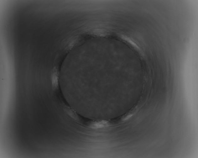 X0000101090576200806261454