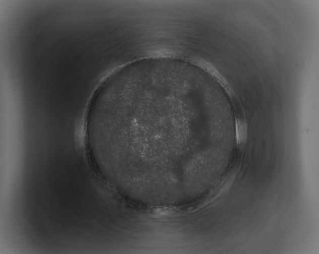 X0000101090579200806261453