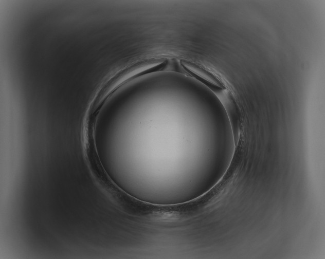 X0000101090582200806261453