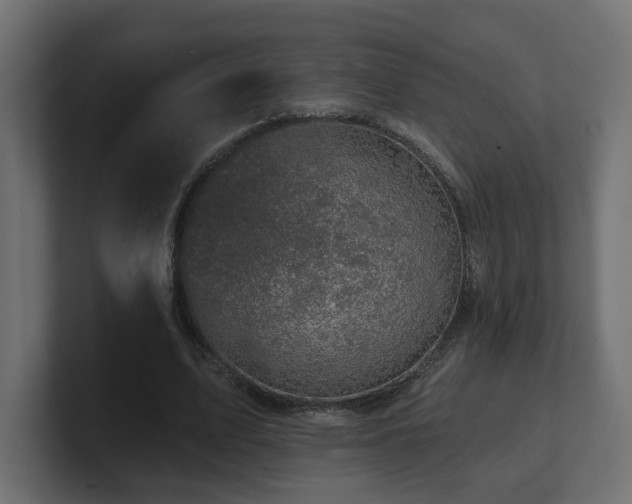 X0000101090583200806261453