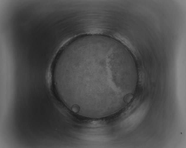 X0000101090584200806261453