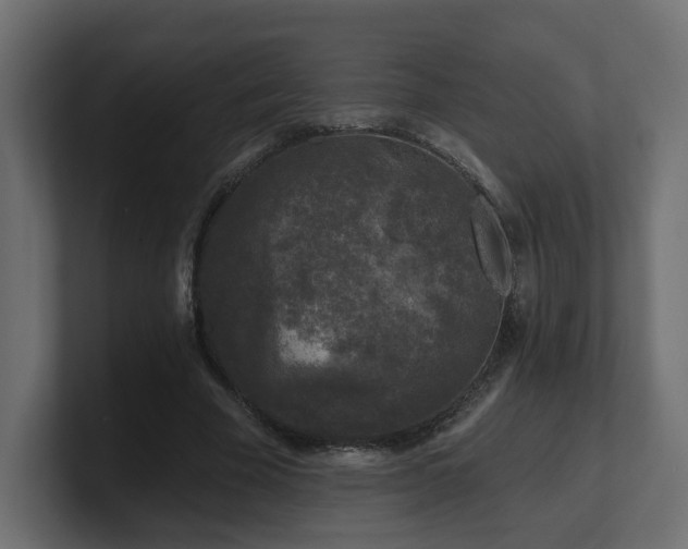 X0000101090585200806261453