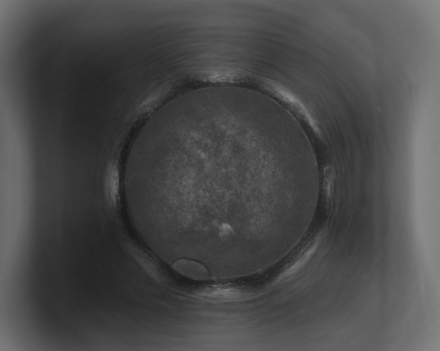 X0000101090589200806261453