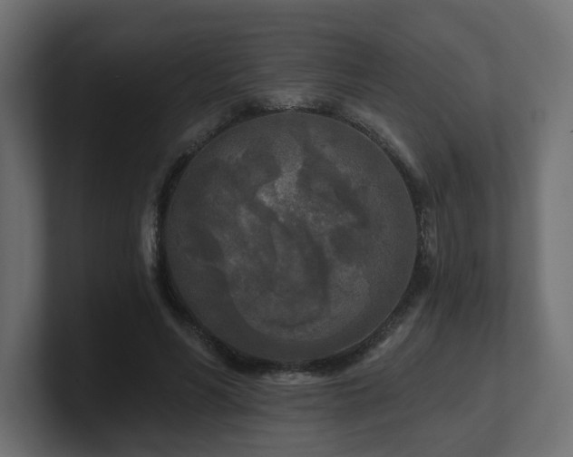 X0000101090590200806261453