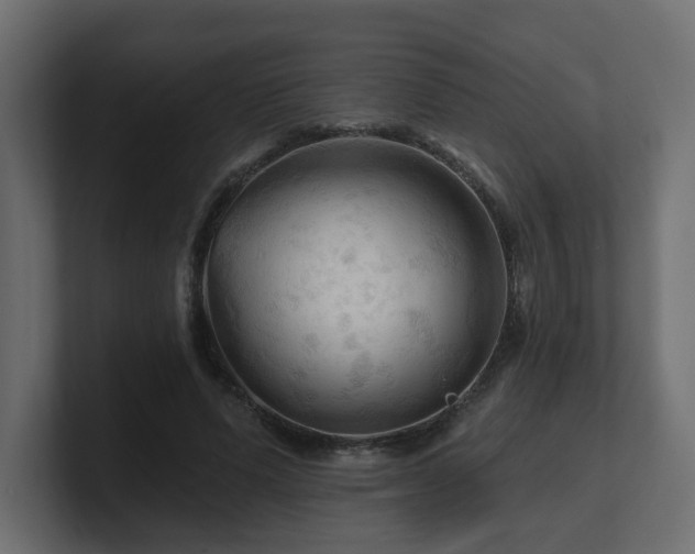 X0000101090591200806261453