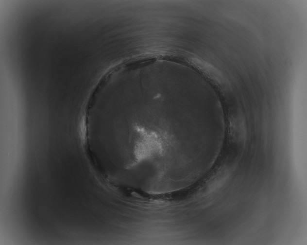 X0000101090592200806261453