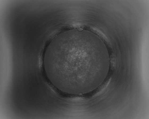 X0000101090593200806261453