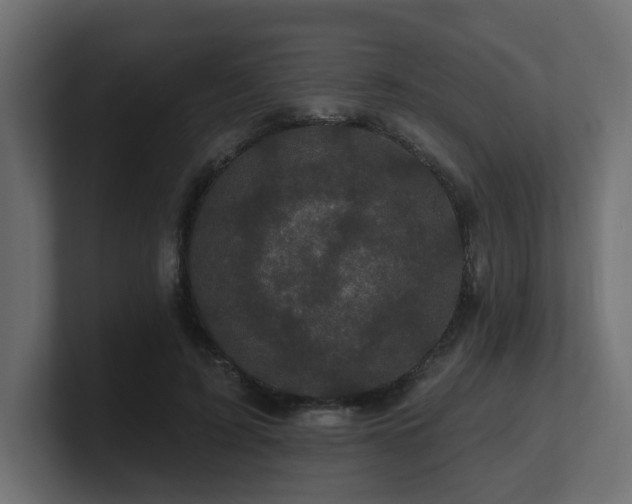 X0000101090595200806261453