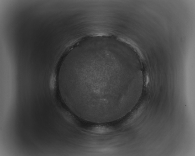 X0000101090596200806261453